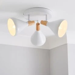 Elements Wolston 3 Light Spotlight