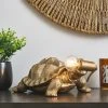 Dunelm Tafari Tortoise Table Lamp 1 Dunelm Tafari Tortoise Table Lamp -Dunelm Shop 30770180