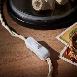 Natural History Museum Table Lamp Clear And Brass 10 Natural History Museum Table Lamp Clear And Brass -Dunelm Shop 30803334 alt03